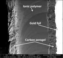 Graphical abstract: Electroactive polymer actuators with carbon aerogel electrodes