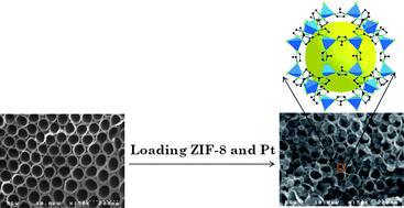 Graphical abstract: Photocatalytic activities of Pt/ZIF-8 loaded highly ordered TiO2 nanotubes