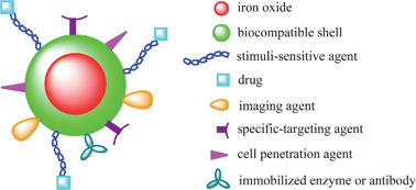 Graphical abstract: Core–shell structural iron oxide hybrid nanoparticles: from controlled synthesis to biomedical applications