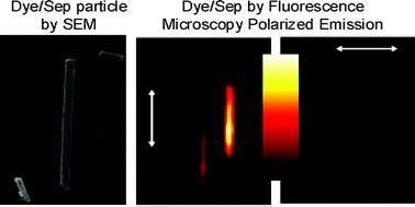 Graphical abstract: Distribution and orientation study of dyes intercalated into single sepiolite fibers. A confocal fluorescence microscopy approach