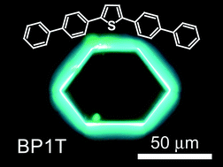 Graphical abstract: The thiophene/phenylene co-oligomers: exotic molecular semiconductors integrating high-performance electronic and optical functionalities