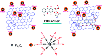 Graphical abstract: Multi-functionalized graphene oxide based anticancer drug-carrier with dual-targeting function and pH-sensitivity