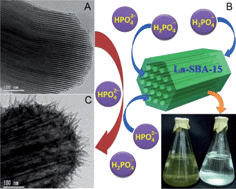 Graphical abstract: A designed nanoporous material for phosphate removal with high efficiency