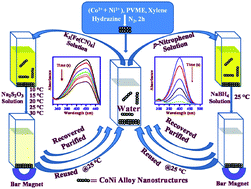 Graphical abstract: Polymer assisted synthesis of chain-like cobalt-nickel alloy nanostructures: Magnetically recoverable and reusable catalysts with high activities