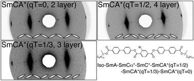 Graphical abstract: Remarkable effect of a lateral substituent on the molecular ordering of chiral liquid crystal phases: A novel bromo-containing dichiralcompound showing SmC* variants