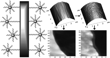 Graphical abstract: Grafting of polyhedral oligomeric silsesquioxanes on a carbon fiber surface: novel coupling agents for fiber/polymer matrix composites