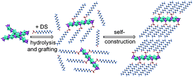 Graphical abstract: Grafting of dodecylsulfate groups on gadolinium hydroxocation nanosheets for self-construction of a lamellar structure