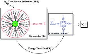 Graphical abstract: Biocompatible CdSe quantum dot-based photosensitizer under two-photon excitation for photodynamic therapy