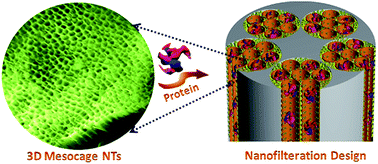 Graphical abstract: Large three-dimensional mesocage pores tailoring silica nanotubes as membrane filters: nanofiltration and permeation flux of proteins
