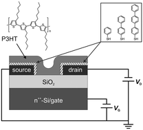 Graphical abstract: Tuning the charge injection of P3HT-based organic thin-film transistors through electrode functionalization with oligophenylene SAMs