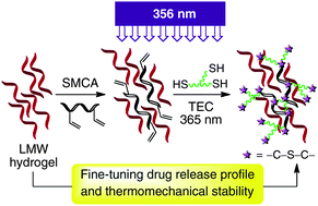 Graphical abstract: Tailoring drug release profile of low-molecular-weight hydrogels by supramolecular co-assembly and thiol–ene orthogonal coupling