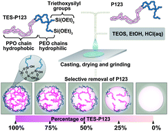 Graphical abstract: Preparation of mesostructured silica–micelle hybrids and their conversion to mesoporous silica modified controllably with immobilized hydrophobic blocks by using triethoxysilyl-terminated PEO–PPO–PEO triblock copolymer