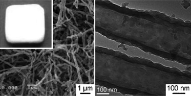 Graphical abstract: Collagen-templated sol–gel fabrication, microstructure, in vitro apatite deposition, and osteoblastic cell MC3T3-E1 compatibility of novel silica nanotube compacts