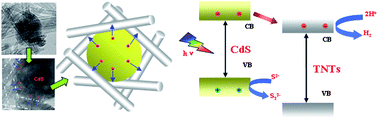Graphical abstract: Nanoparticles enwrapped with nanotubes: A unique architecture of CdS/titanate nanotubes for efficient photocatalytic hydrogen production from water
