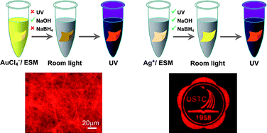 Graphical abstract: Eggshell membrane as a multimodal solid state platform for generating fluorescent metal nanoclusters
