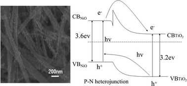 Graphical abstract: Nano-p–n junctions on surface-coarsened TiO2 nanobelts with enhanced photocatalytic activity