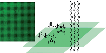Graphical abstract: Photolithography of dithiocarbamate-anchored monolayers and polymers on gold