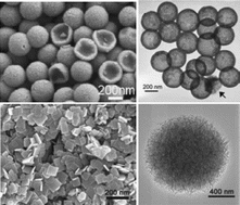 Graphical abstract: SnO2 hollow structures and TiO2 nanosheets for lithium-ion batteries
