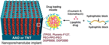 Graphical abstract: Polymeric micelles in porous and nanotubular implants as a new system for extended delivery of poorly soluble drugs
