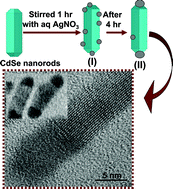 Graphical abstract: Silver tip formation on colloidal CdSe nanorods by a facile phase transfer protocol