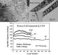 Graphical abstract: Self-assembled echinus-like nanostructures of mesoporous CoO nanorod@CNT for lithium-ion batteries