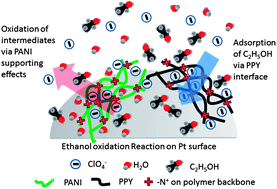 Graphical abstract: Co-assembled conducting polymer for enhanced ethanol electrooxidation on Pt-based catalysts