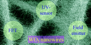 Graphical abstract: WO3 nanowires on carbon papers: electronic transport, improved ultraviolet-light photodetectors and excellent field emitters
