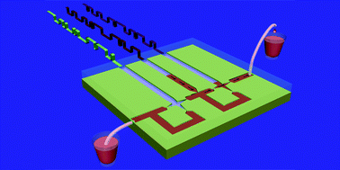 Graphical abstract: A micro surface tension pump (MISPU) in a glass microchip
