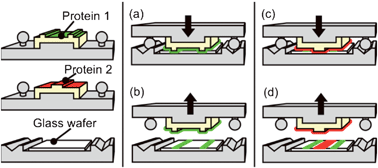 Graphical abstract: High-precision microcontact printing of interchangeable stamps using an integrated kinematic coupling