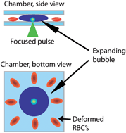 Graphical abstract: Red blood cell rheology using single controlled laser-induced cavitation bubbles