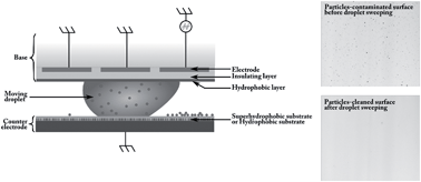 Graphical abstract: EWOD driven cleaning of bioparticles on hydrophobic and superhydrophobic surfaces