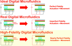 Graphical abstract: A feedback control system for high-fidelity digital microfluidics