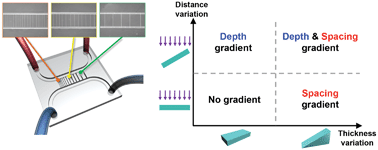 Graphical abstract: Controlled mechanical fracture for fabricating microchannels with various size gradients