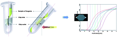 Graphical abstract: Functional integration of DNA purification and concentration into a real time micro-PCR chip