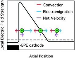 Graphical abstract: Bipolar electrode focusing: tuning the electric field gradient