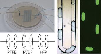 Graphical abstract: New family of fluorinated polymer chips for droplet and organic solvent microfluidics