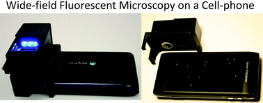 Graphical abstract: Cost-effective and compact wide-field fluorescent imaging on a cell-phone