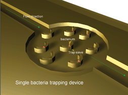 Graphical abstract: Programmed trapping of individual bacteria using micrometre-size sieves