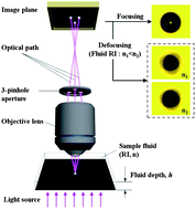 Graphical abstract: Microfluidic refractometer with micro-image defocusing
