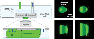 Graphical abstract: Design of hydrodynamically confined microfluidics: controlling flow envelope and pressure