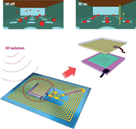 Graphical abstract: Wirelessly powered microfluidic dielectrophoresis devices using printable RF circuits