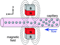 Graphical abstract: Flow focussing of particles and cells based on their intrinsic properties using a simple diamagnetic repulsion setup