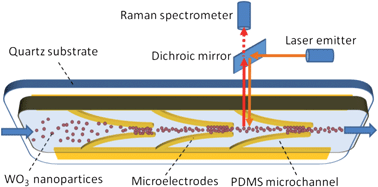 Graphical abstract: Dielectrophoresis–Raman spectroscopy system for analysing suspended nanoparticles