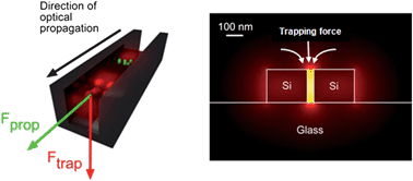 Graphical abstract: Nanomanipulation using near field photonics