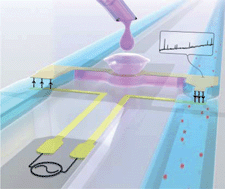 Graphical abstract: A new floating electrode structure for generating homogeneous electrical fields in microfluidic channels