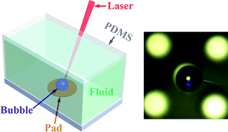 Graphical abstract: Laser-induced thermal bubbles for microfluidic applications