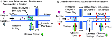 Graphical abstract: Non-linear and linear enhancement of enzymatic reaction kinetics using a biomolecule concentrator