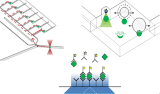 Graphical abstract: A first step towards practical single cell proteomics: a microfluidic antibody capture chip with TIRF detection