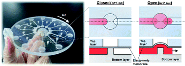 Graphical abstract: Elastomeric membrane valves in a disc