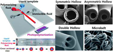 Graphical abstract: Microfluidic fabrication of complex-shaped microfibers by liquid template-aided multiphase microflow